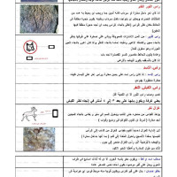 کتاب الاشارات – مجموعه علائم نشانه های دفینه وگنج به زبان عربی
